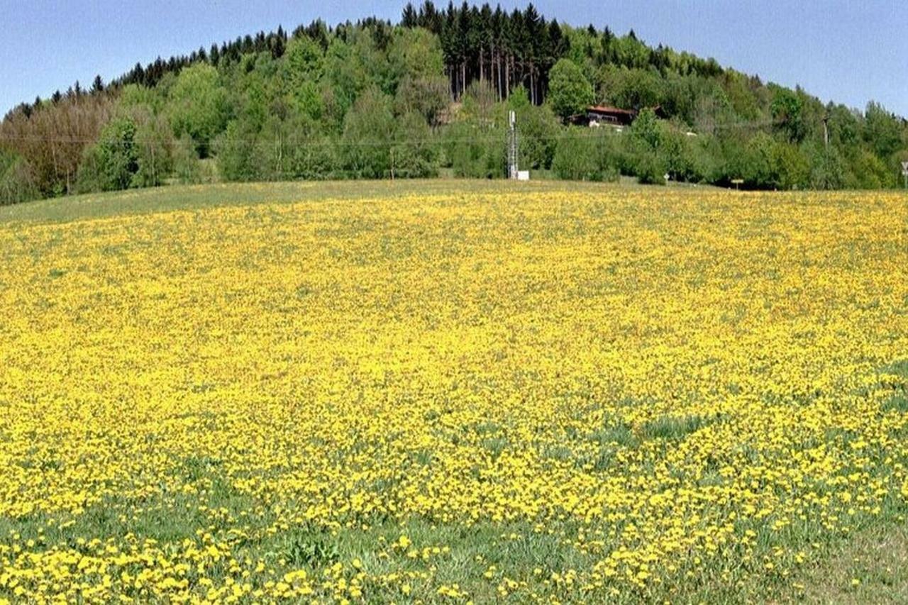 Ferien Vom Ich, Bayerischer Wald, Hotel & Restaurant Neukirchen (Lower Bavaria) Exterior foto