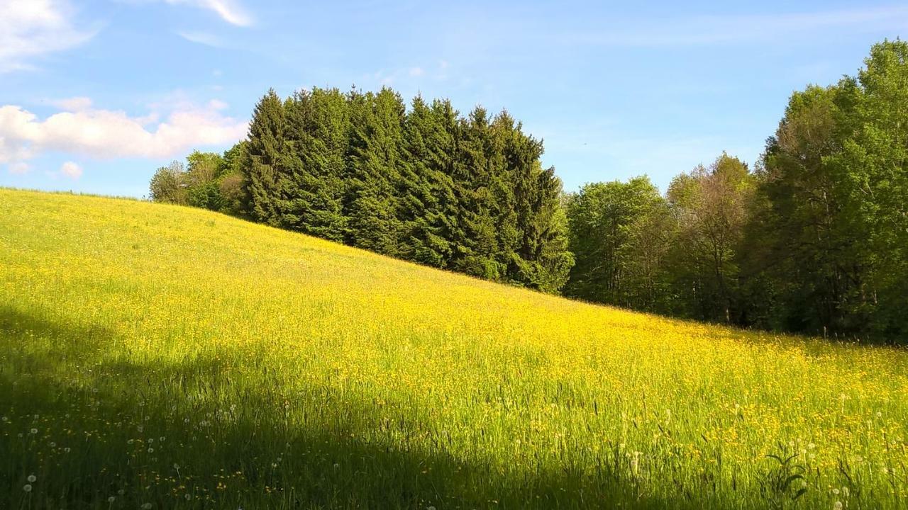 Ferien Vom Ich, Bayerischer Wald, Hotel & Restaurant Neukirchen (Lower Bavaria) Exterior foto